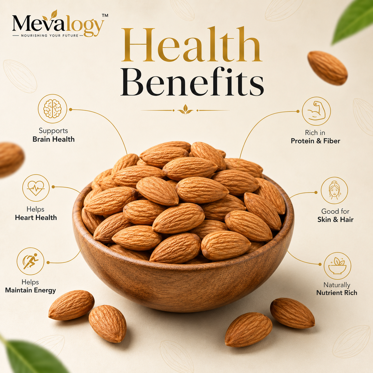 Mevalogy Premium Almonds 200g | Whole Natural Badam | Rich in Protein | Vitamin E | Dietary Fibre | Magnesium | Crunchy Dry Fruits | Gluten Free | 200 g